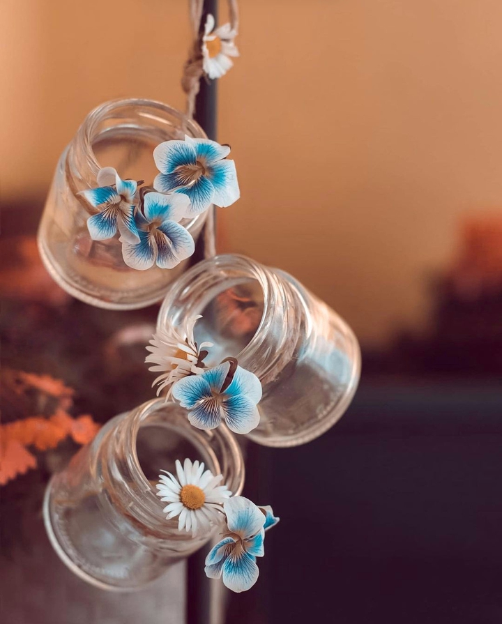 Stilllife