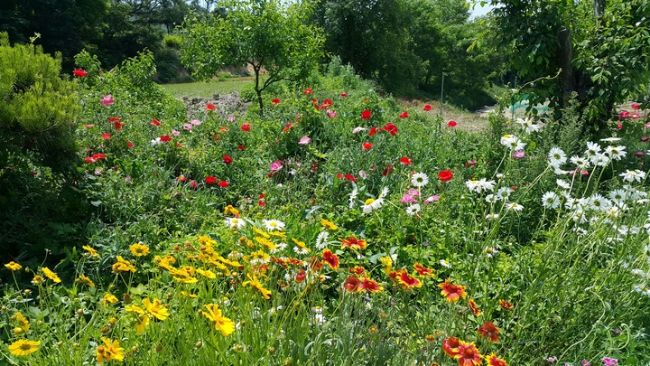 Spring