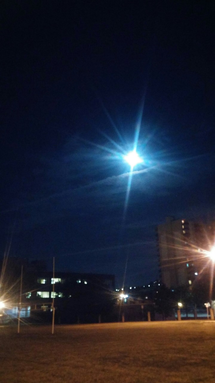 Bright Shinning 