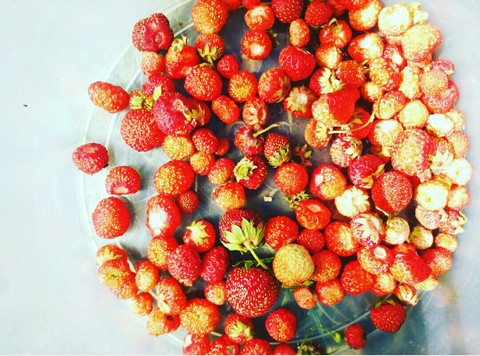 Strawberry