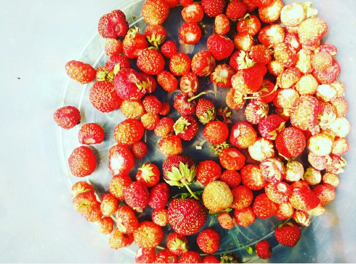 Strawberry