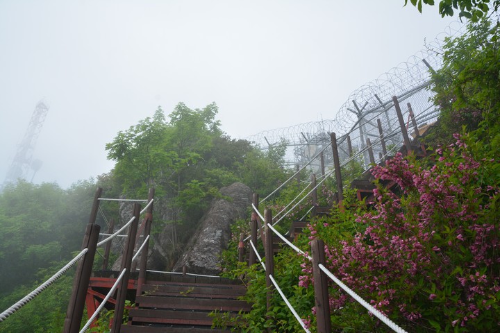 용문산이미지