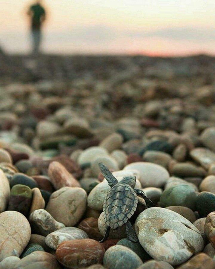 *_*