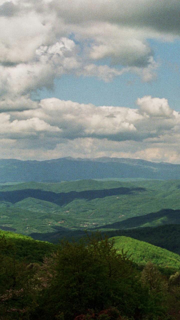 nature