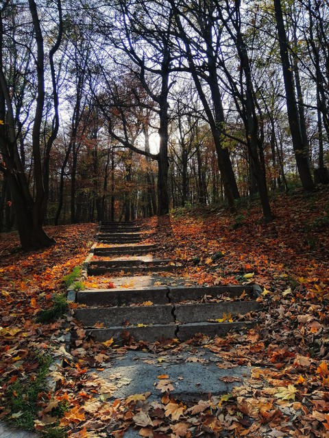 nature