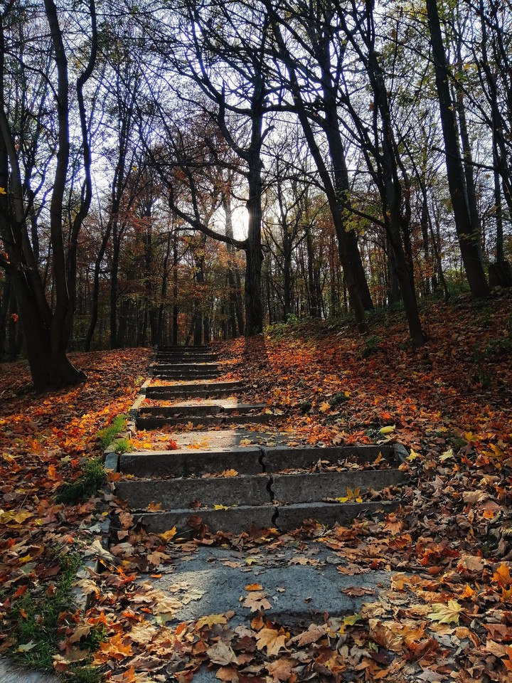 nature