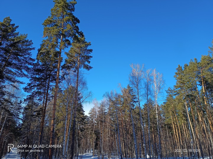 на распутье в лес