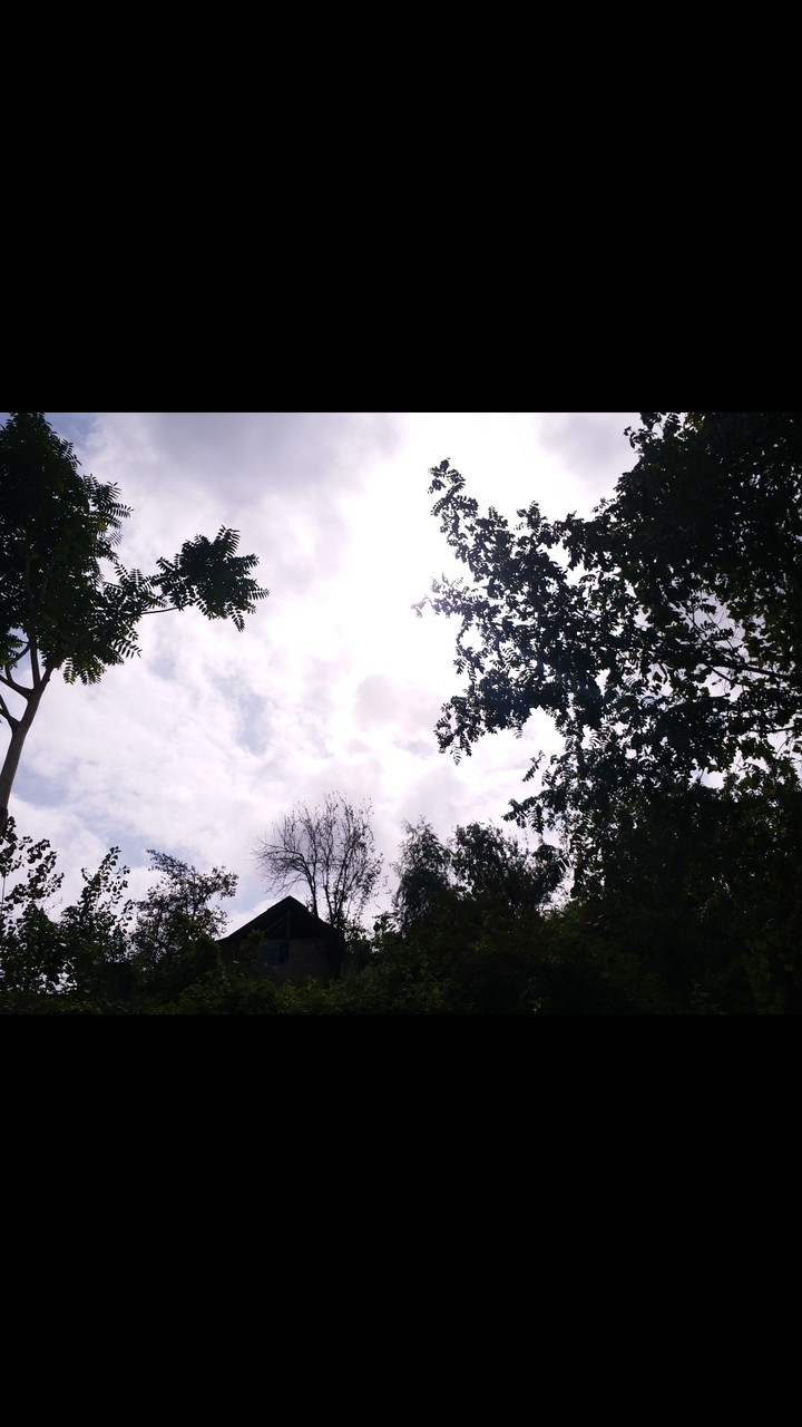 rays