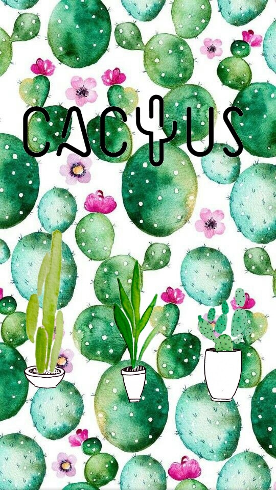 cactus