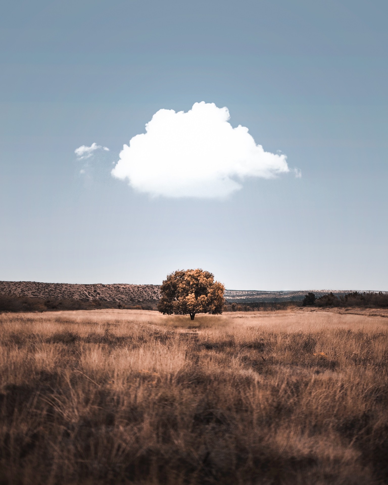 Beauty of Nature
