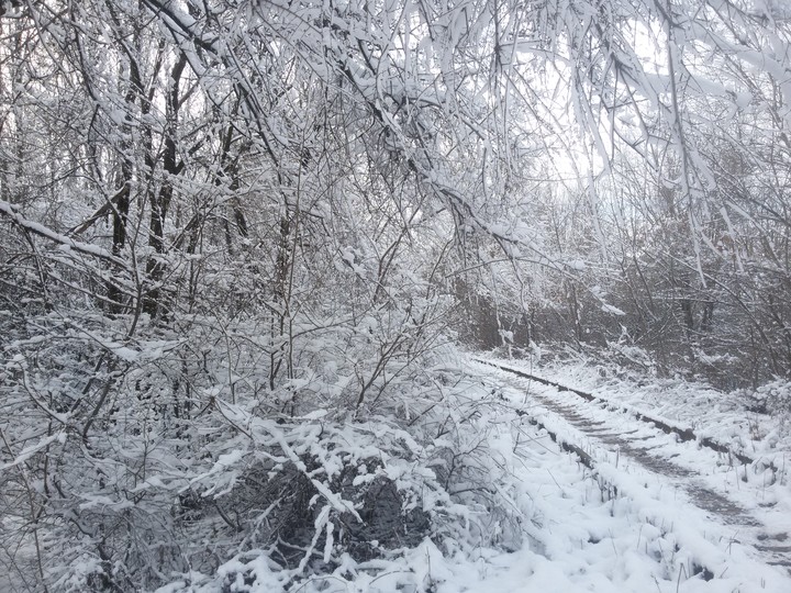 Зима близко ❄