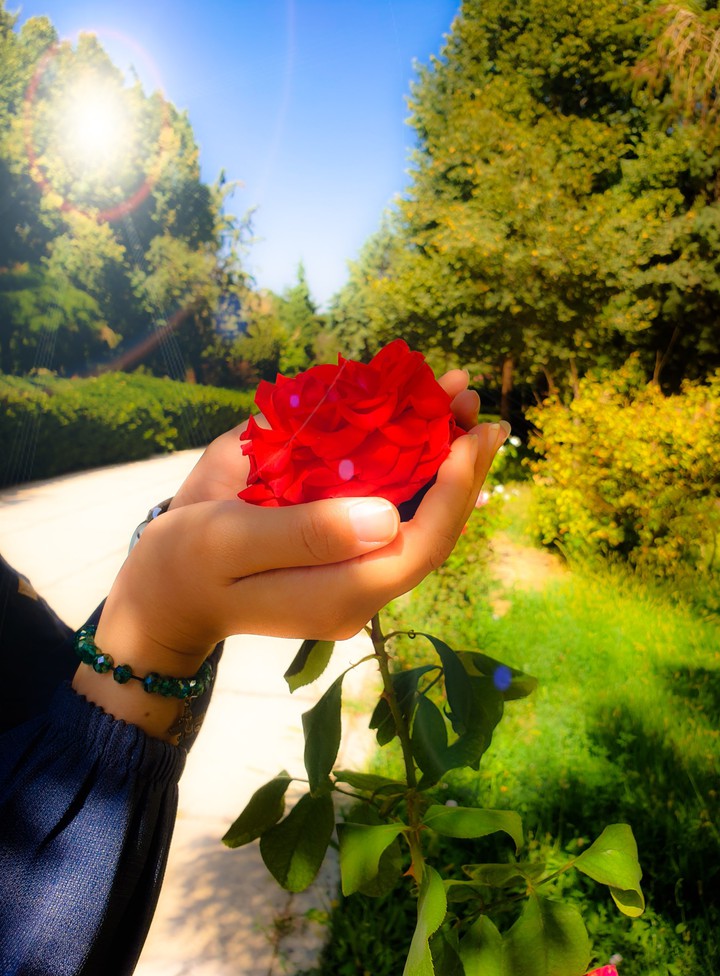 flower