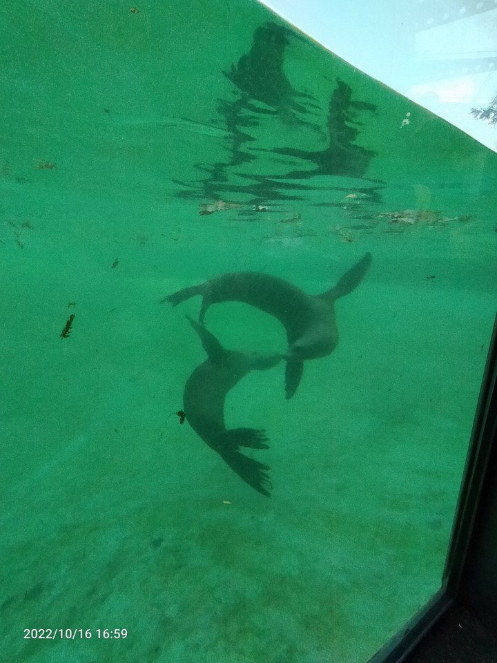 zoo