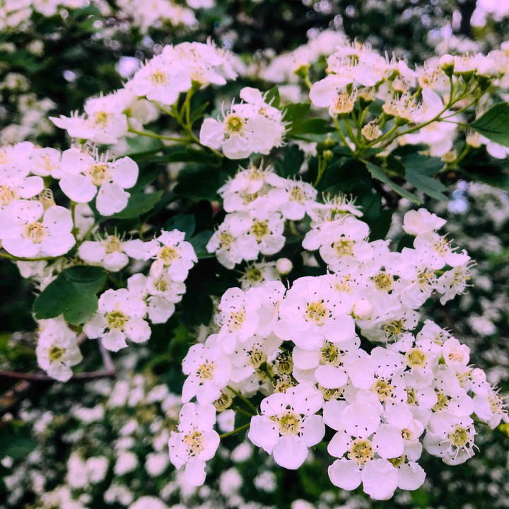 ✨