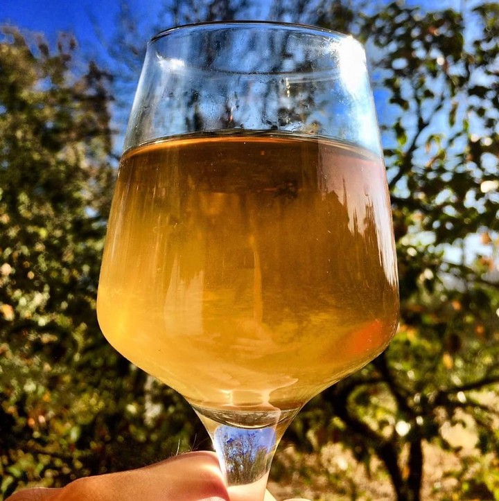 vino