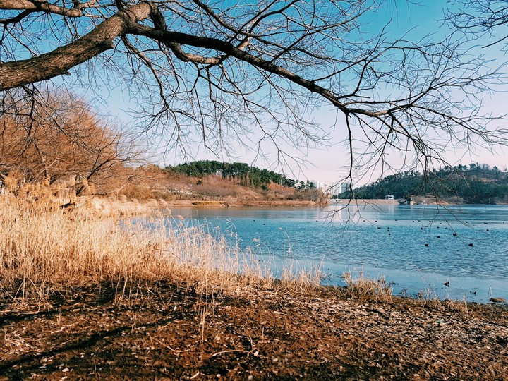 Seonam lake park