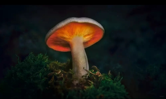 ♡