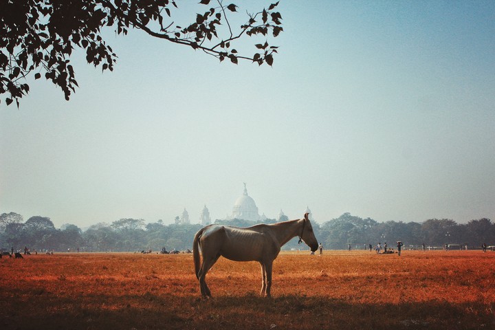 Kolkata cityscape
