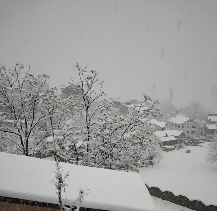 snow