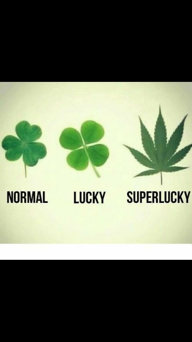 Lucky plants