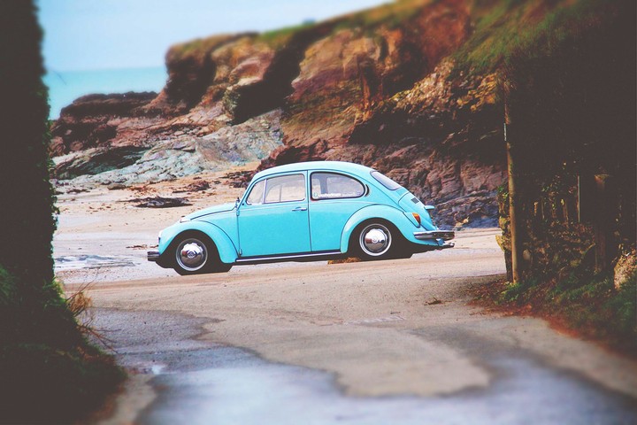 beetle