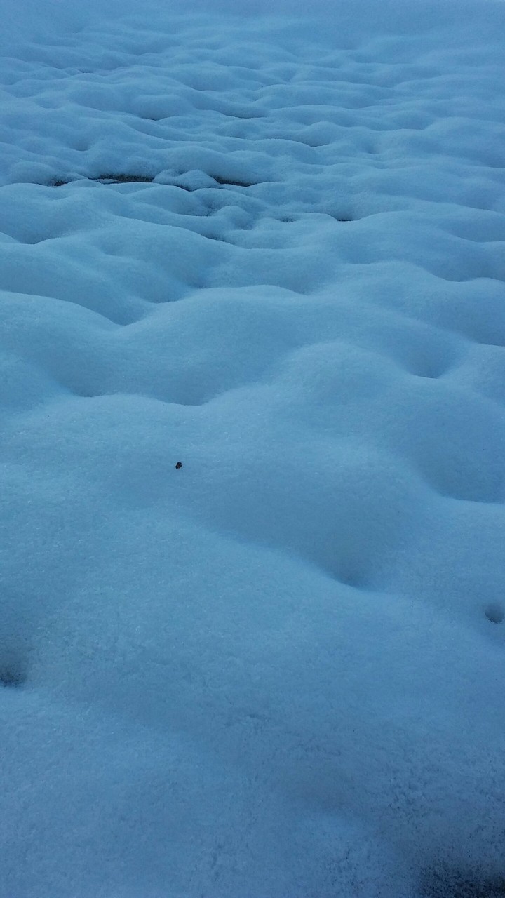 Beautiful snow