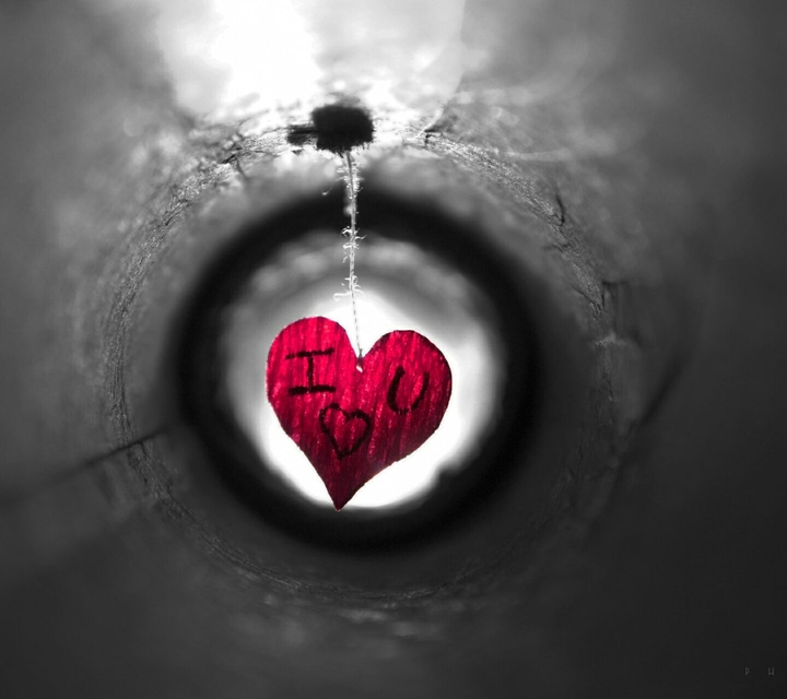 love