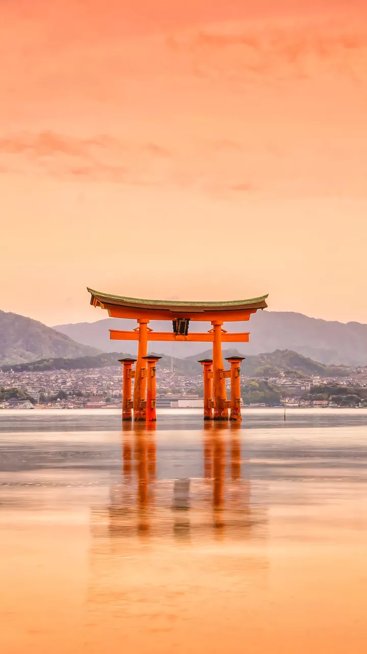 symbol is Japanese national traditional