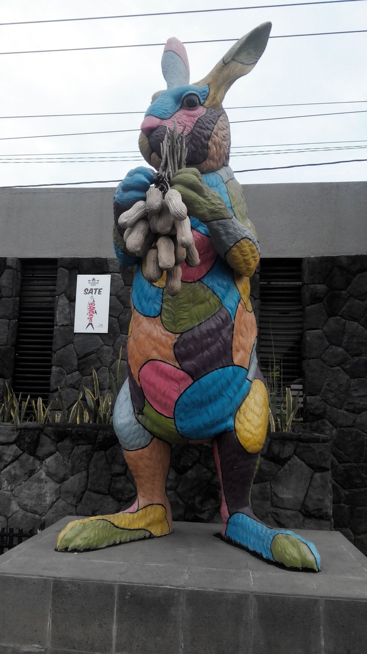 Colorful Rabbit