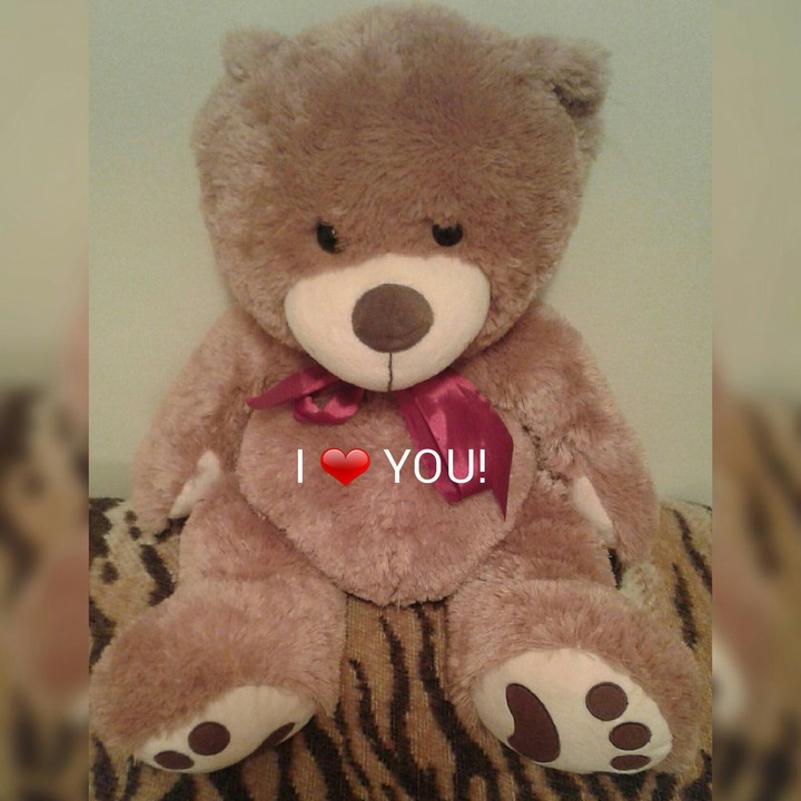 TEDDY BEAR
