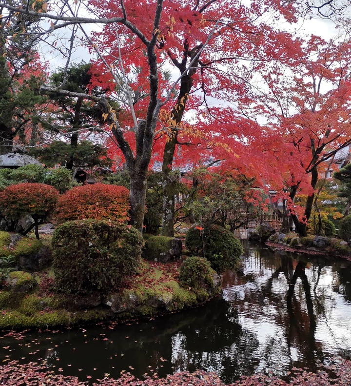 Fiery Autumn