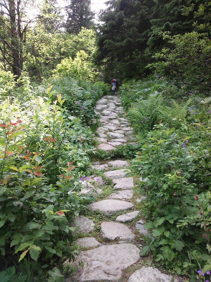 In the mountains...(sequel)