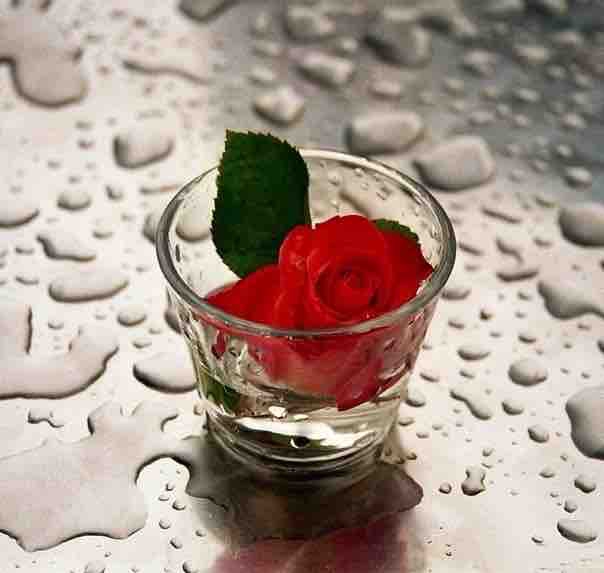 red roes ❤