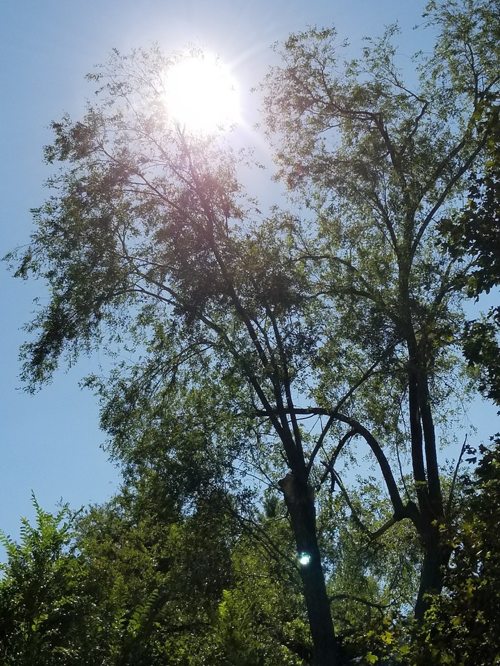 October sun