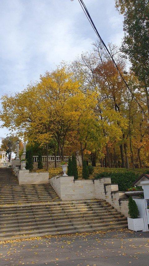 Autumn, trunk duvar kağıtları