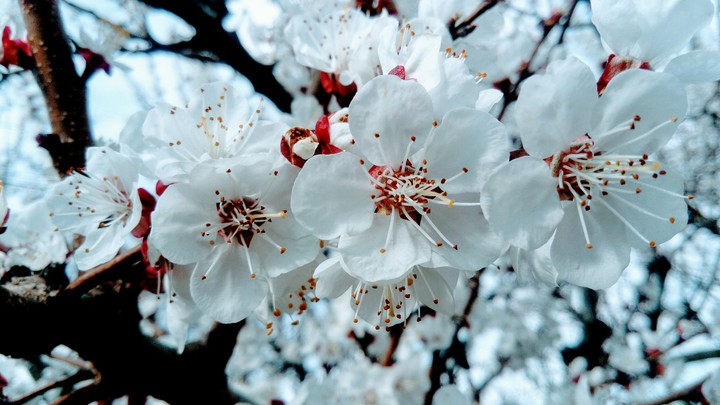Hello Spring