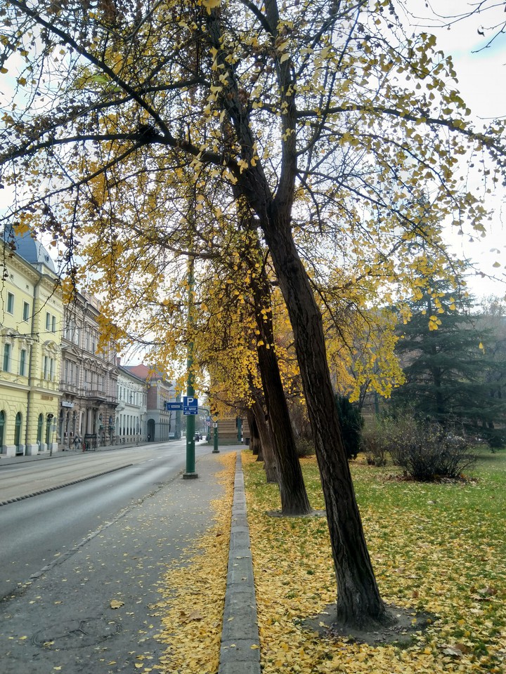 park