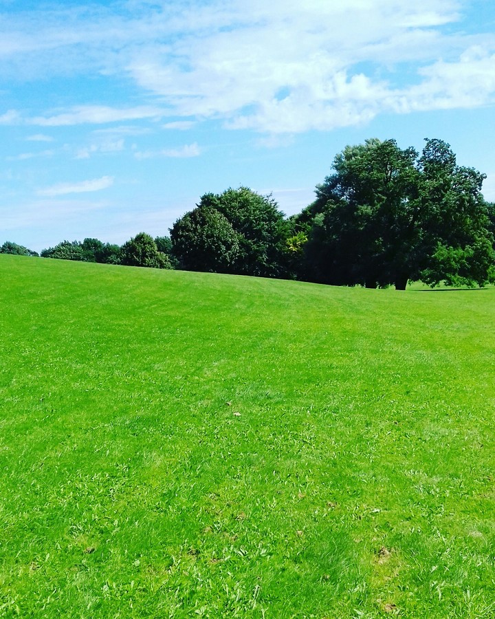 Werftpark, Kiel