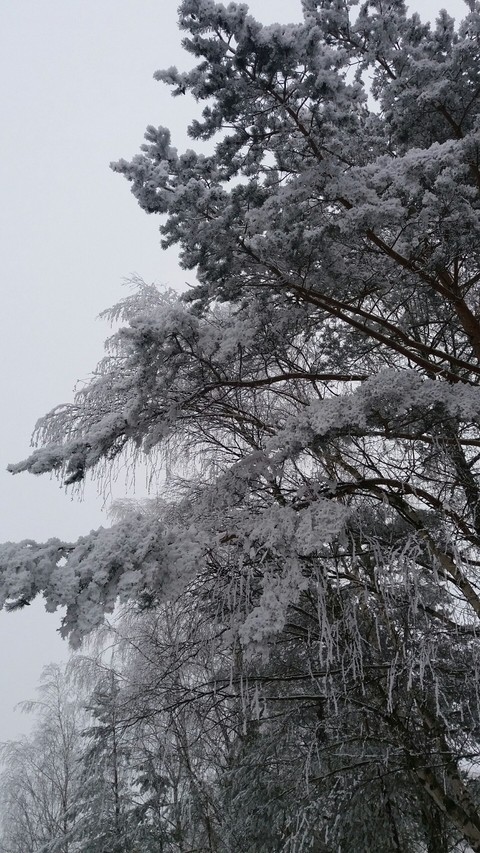 Poland Winter