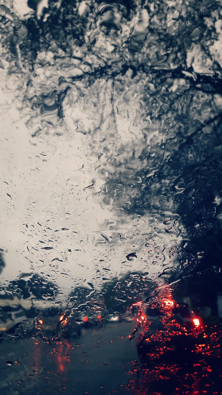 Rainy day