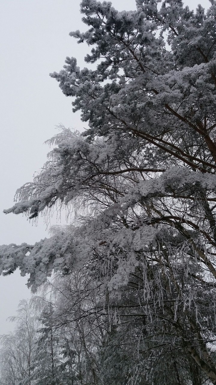 Poland Winter