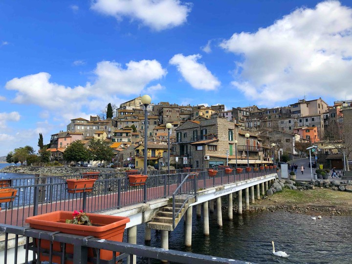 anguillarA