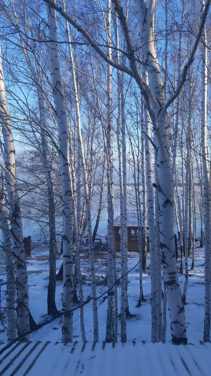 ЭКО отель