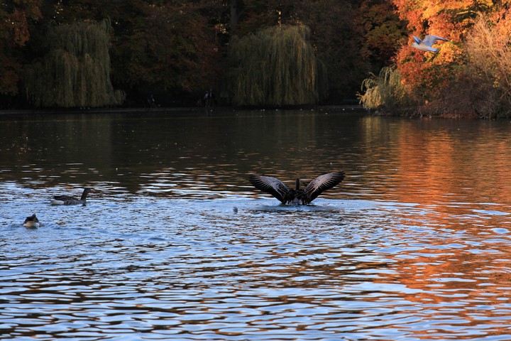 Englischer Garten