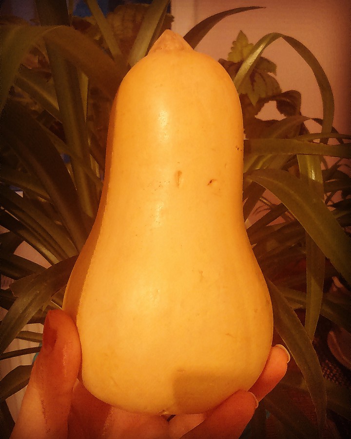 کدو حلوایی