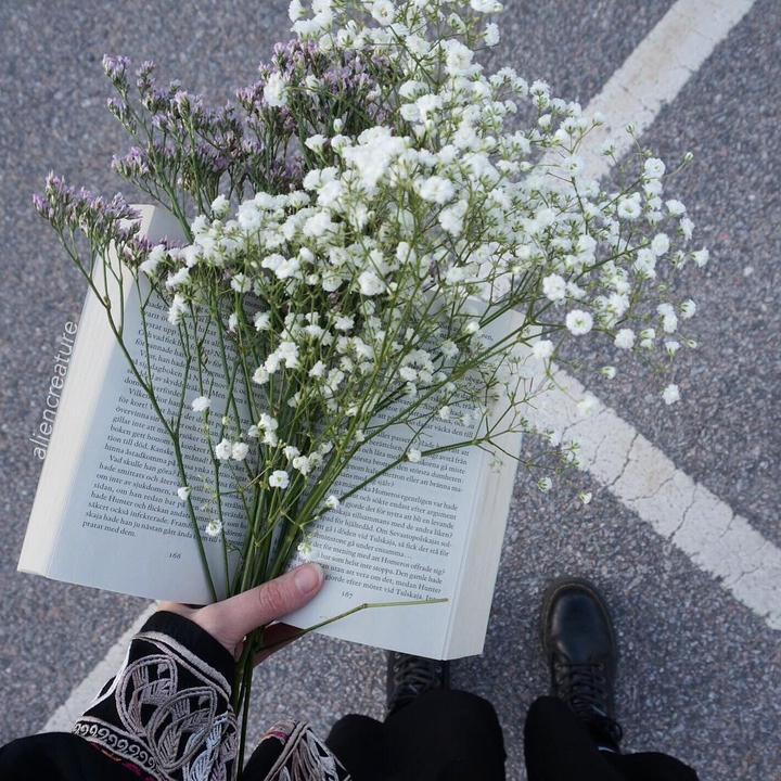 книга и букет