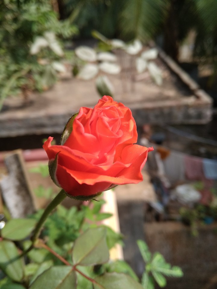 mobile camera