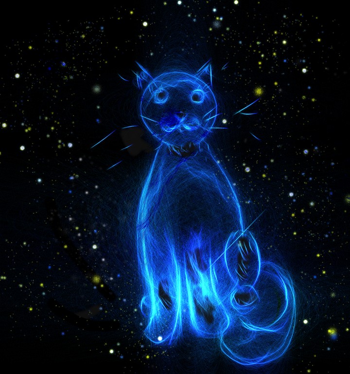 Moon cat
