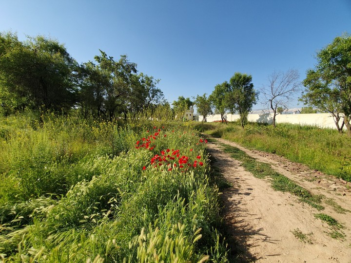 Road