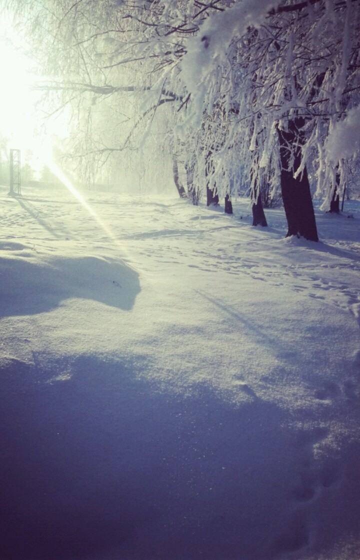 зима